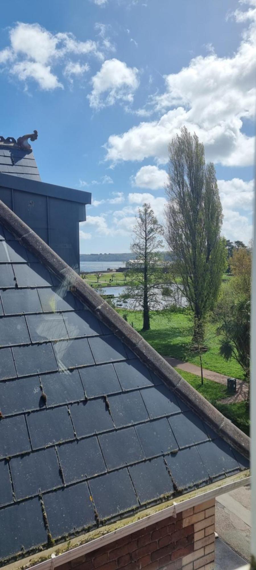 Rowcroft Lodge Guest House B&B Paignton Bagian luar foto