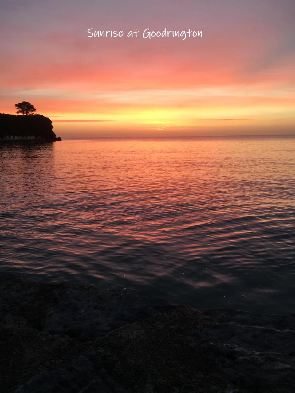 Rowcroft Lodge Guest House B&B Paignton Bagian luar foto