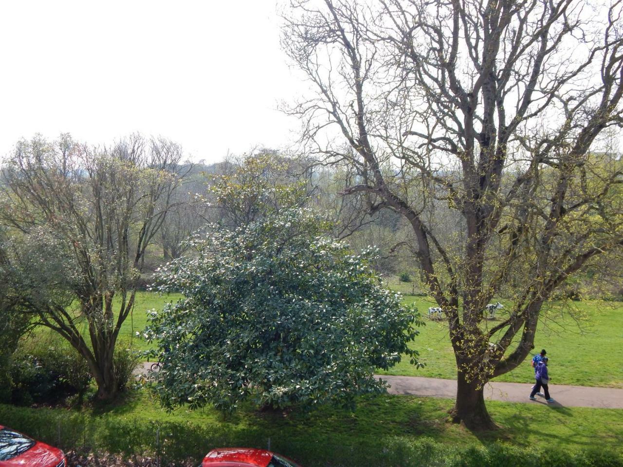Rowcroft Lodge Guest House B&B Paignton Bagian luar foto